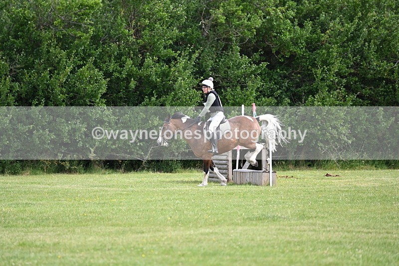 WJ6_2305 - Class 2 40cm