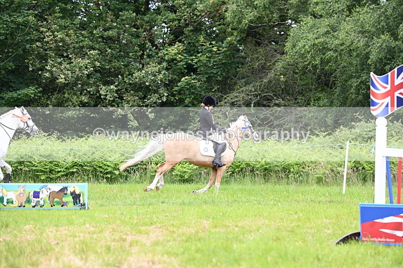 WJ6_5734 - Class 5 pairs 70cm
