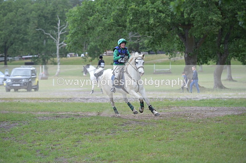 NGP_6962 - Time 11:01 to 11:09