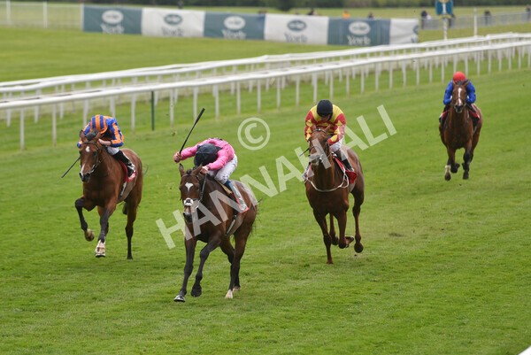 yr14052021r4-25 - Race 4 3.10pm The Matchbook Yorkshire Cup