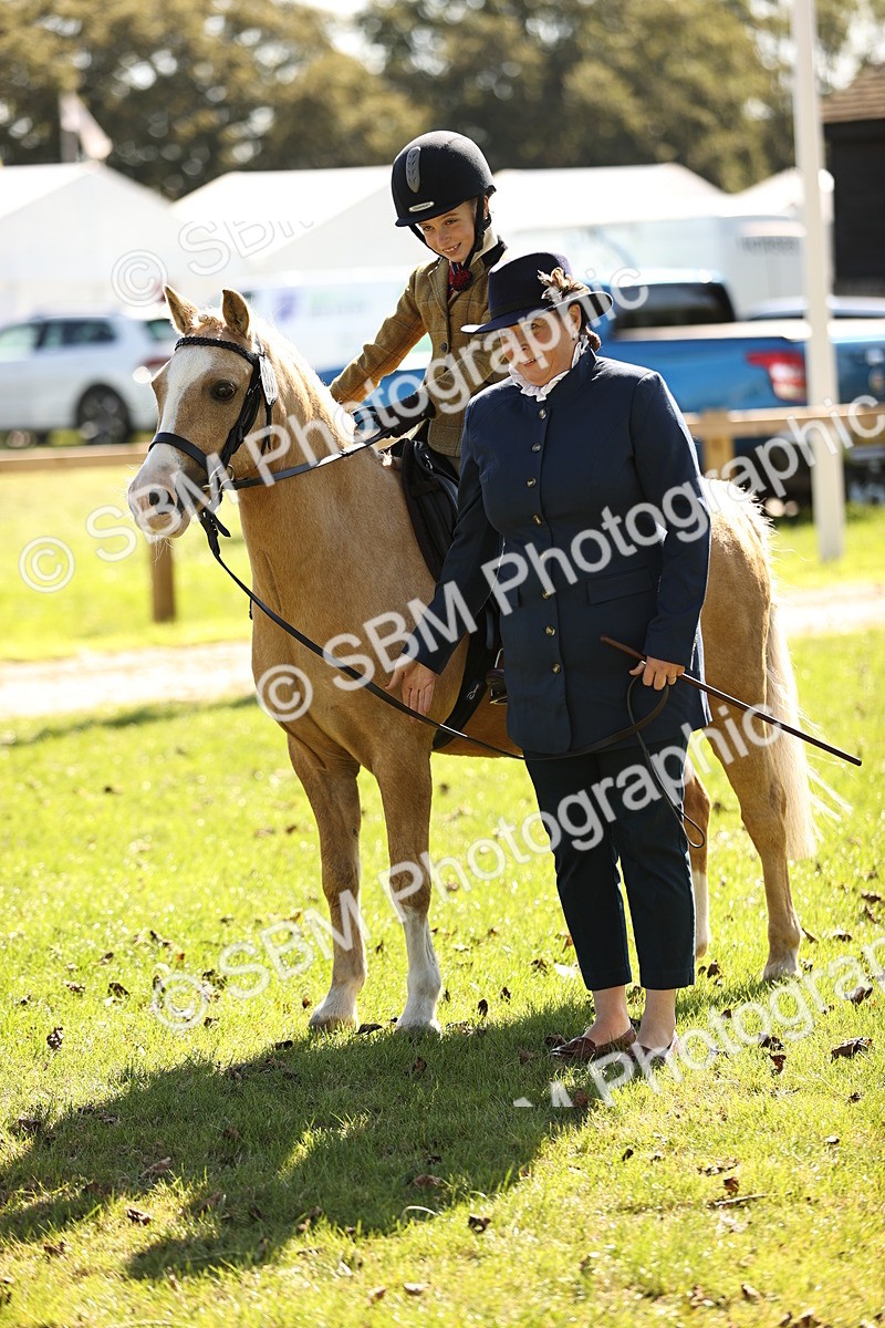 SBM_19303 - S3 - TSR Ridden Pony Showing