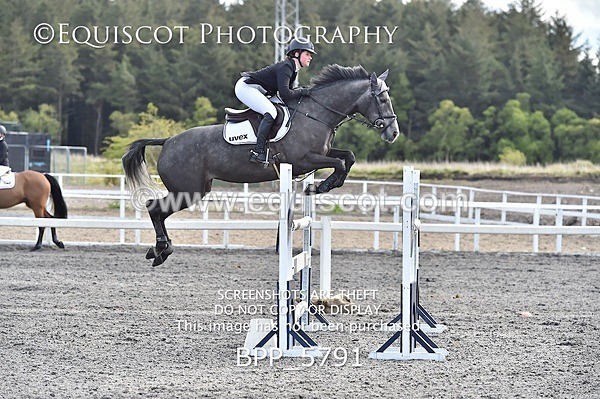 BPP_5791 - SUN CLASS 33 FOX/1.20M