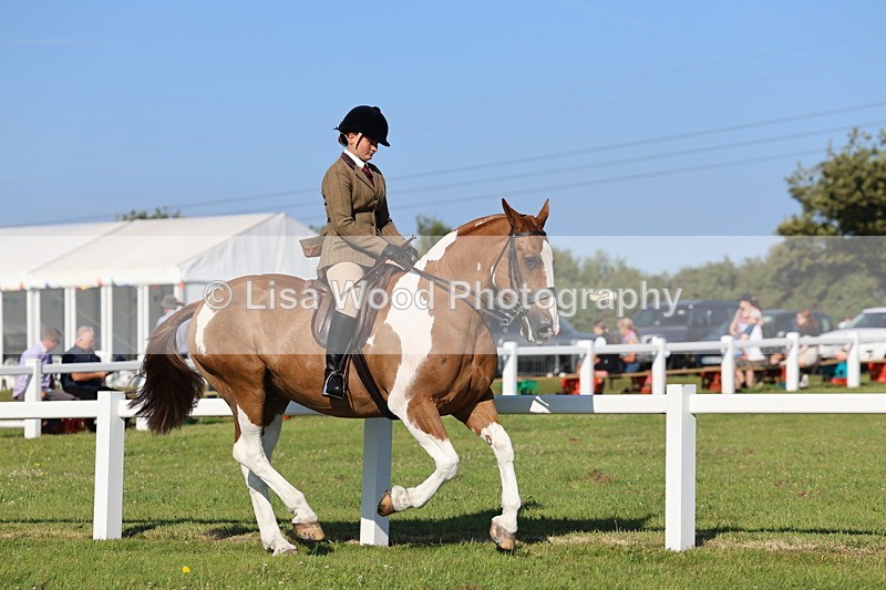 IMG_1421 - Class 29:  Ridden Native/Trad Coloured Horse