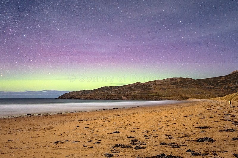 MF2_7875 - Tranarossan