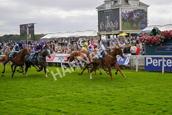 220824-Race 3-Thunder Run-7043 - Race 3 3.00pm Clipper Handicap