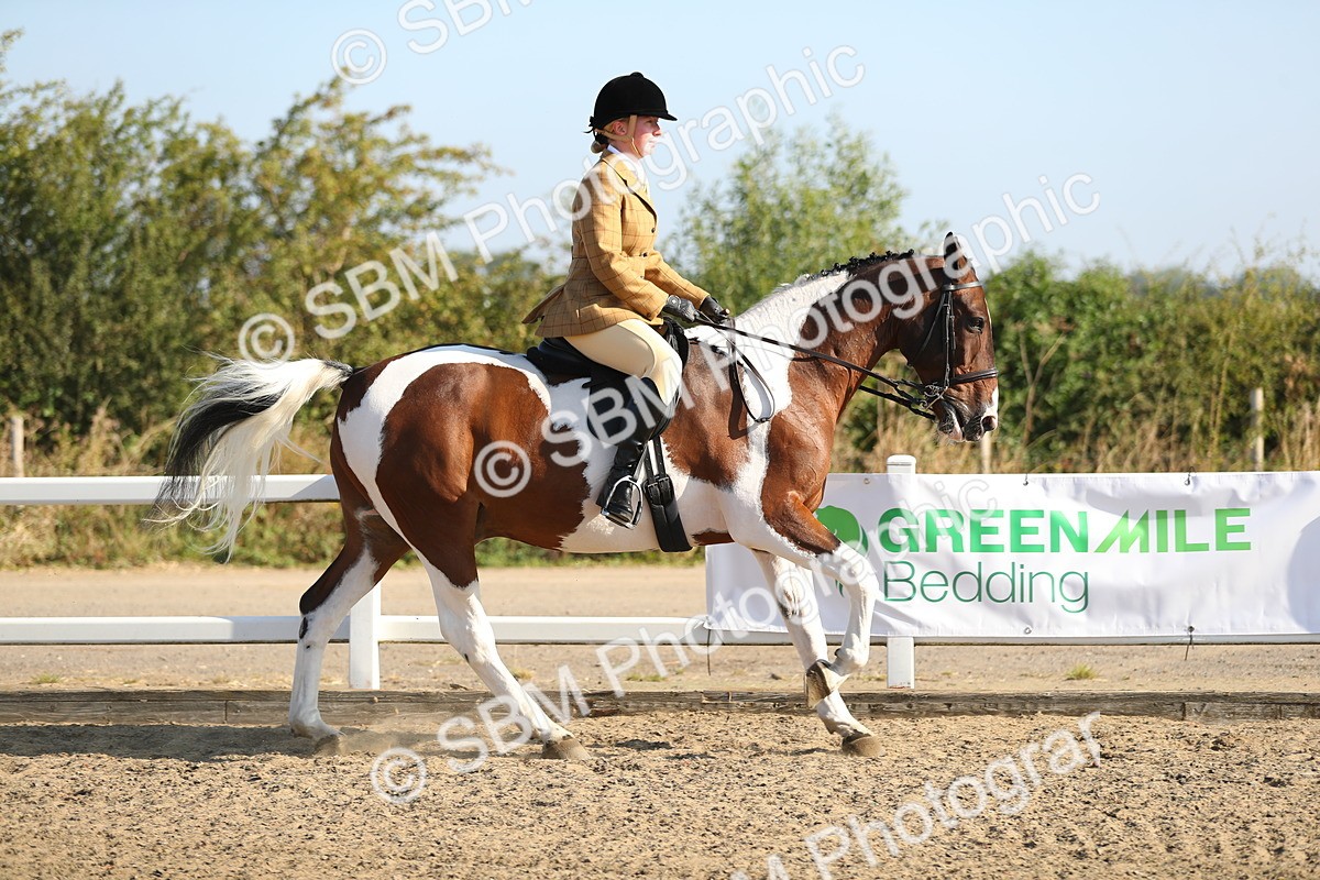 SBM_01136 - Class 42 Ridden Veteran