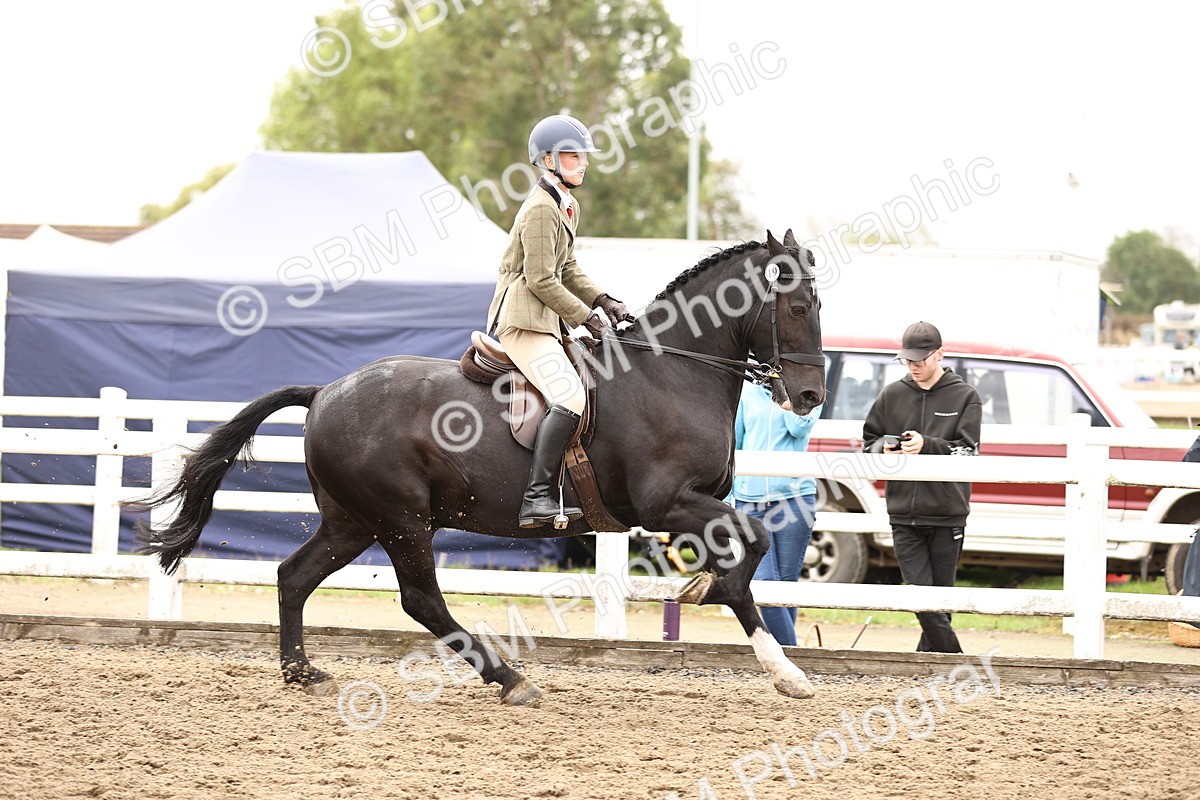 SBM_01388 - Class 54 - Riding Club Horse Pony