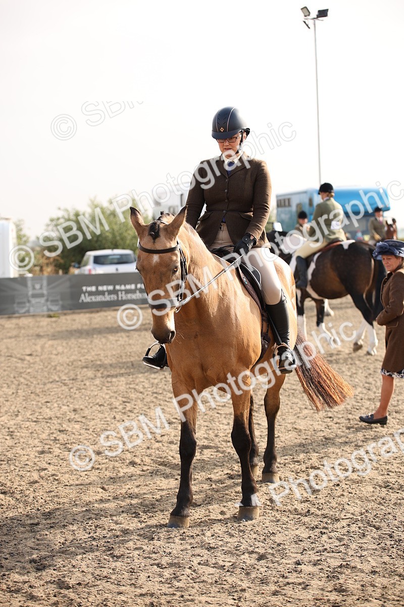SBM_10244 - Class 402 Riding Club Horse