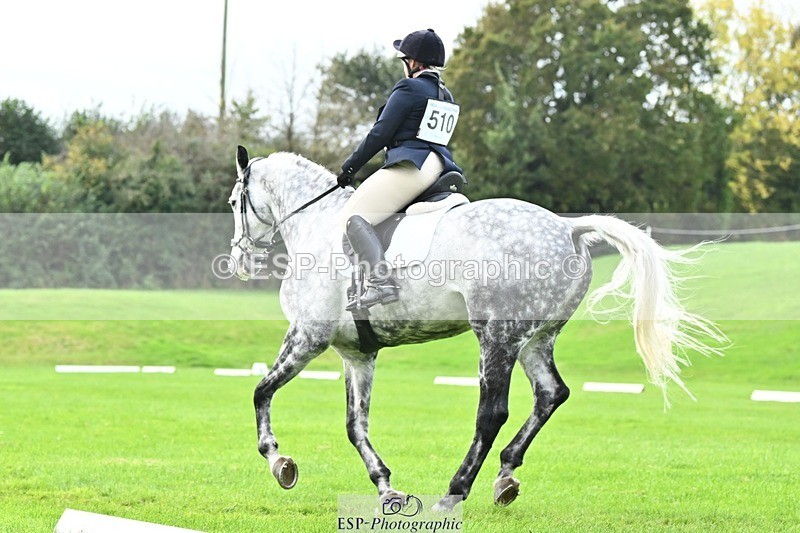 241024-115208-02513 - 510-Kathryn.Virjee-BROWNSTOWNS.SEAWATCH