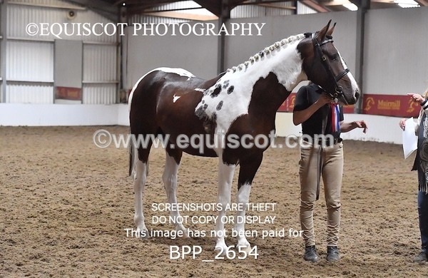 BPP_2654 - LOOSE JUMPING / SPSS