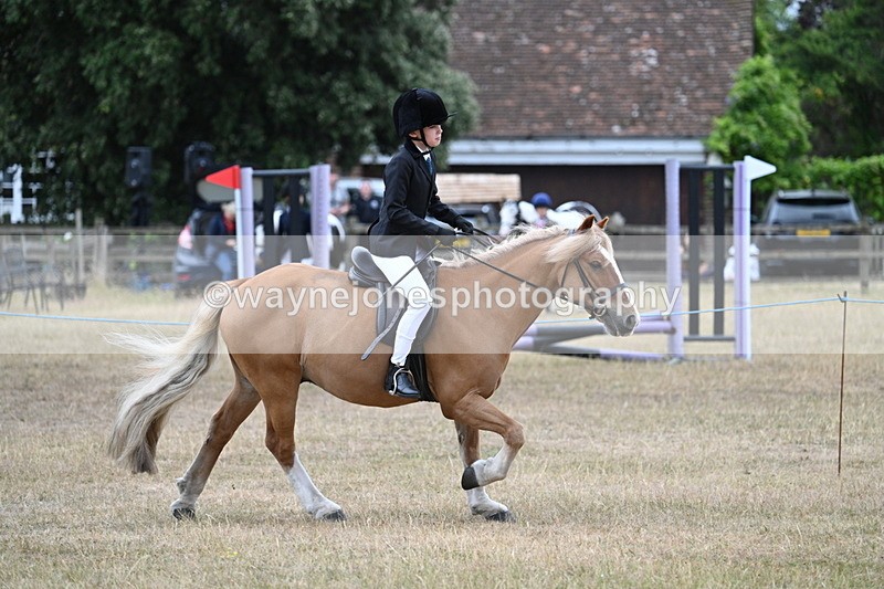 WJ7_7183 - Class 2 Best Rider