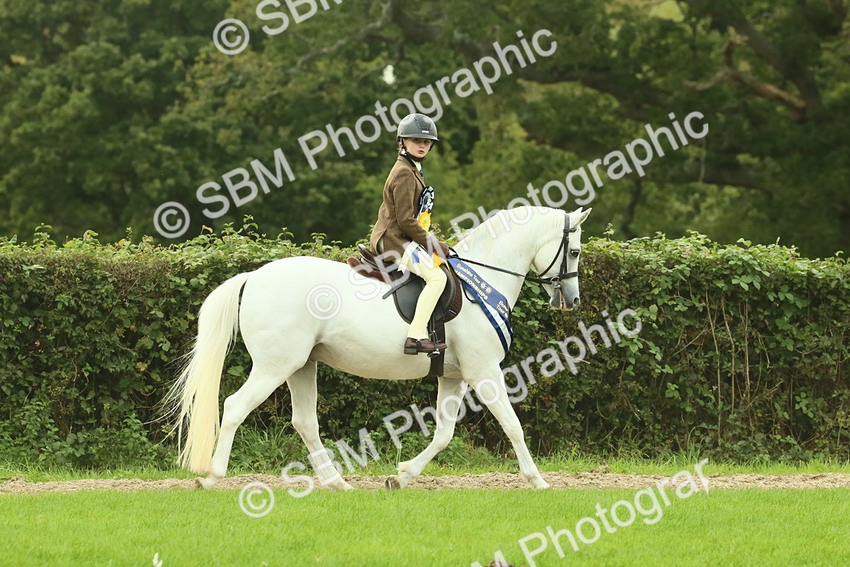 SBM_75147 - Super Supreme Championship