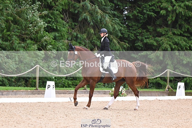 240809-121922-00741 - 185-Daisy.Hedges-Felicia.v