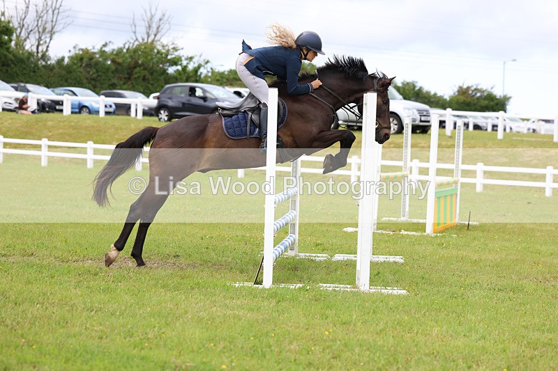 3E7A7750 - Class 13: Senior British Novice/90cm open