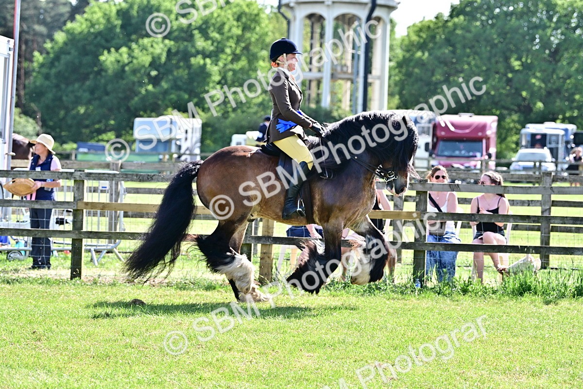 SBM_09455 - Class 63-65 - Traditional Gypsy Cobs In Hand & Ridden