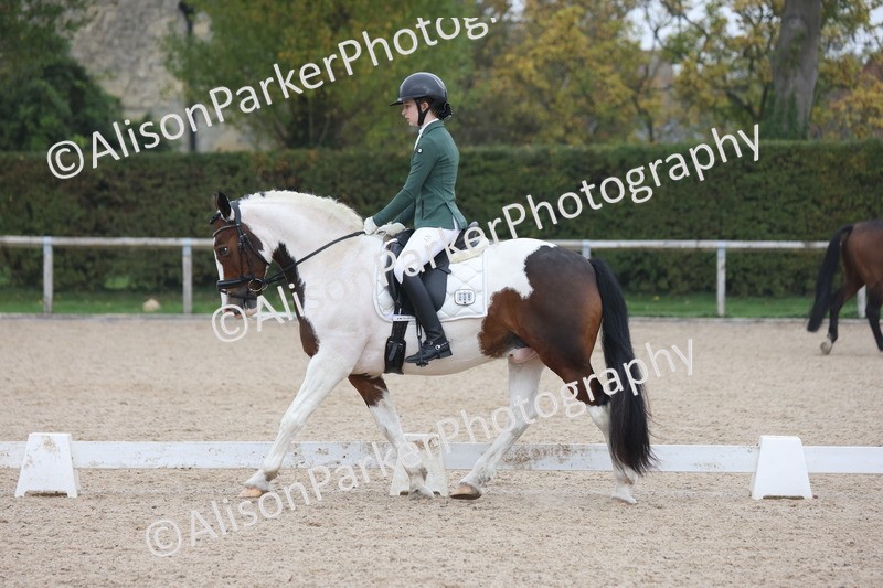 20251012-0582 - Class 5 - Elementary 5