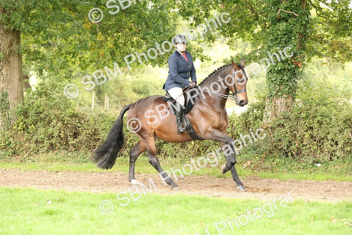 SBM_63007 - S64 - Foreign Breeds Ridden