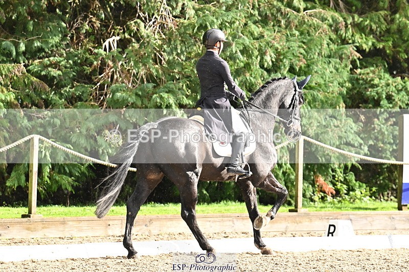 251023A-144036-05276 - C-249-Shoto.Kusumoto