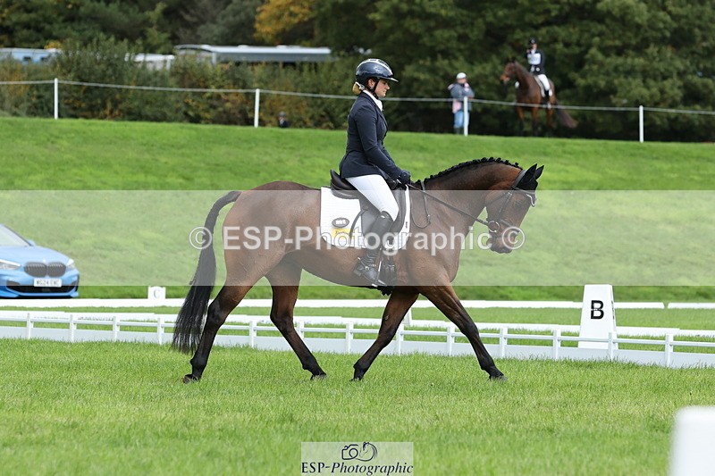 251023A-115009-03420 - E-384-Holly.Horton