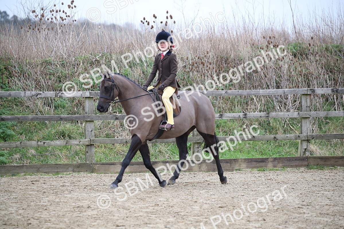 SBM_004602 - Class 5-9 - NPS In Hand-Show Hunter-Intermediate Ridden Inc Ridden Championship