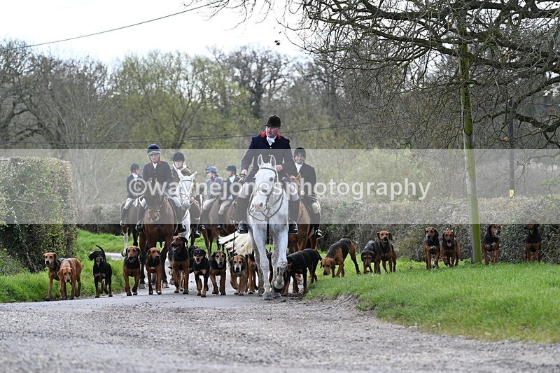 WJ7_9778 - Walk Home