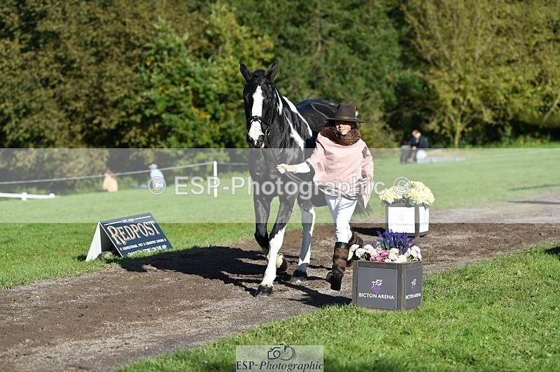 231022-104122-22666 - 438-KILCORBAN.MY.FAIR.LADY-Natasha.Crapper-TrotUp+SJ