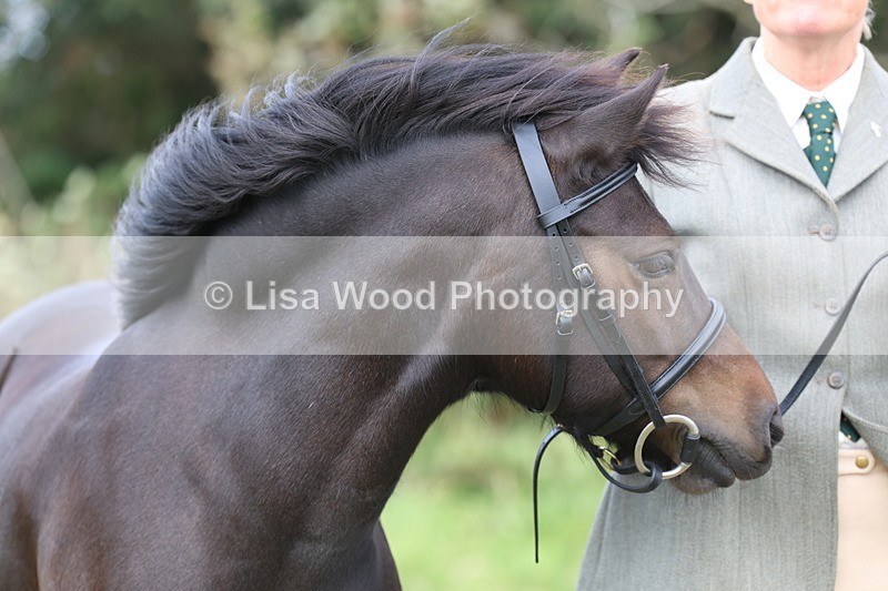 3E7A4629 - Class 16: Best Grass Kept