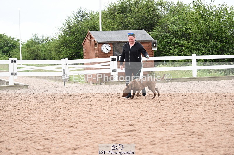 240518A-112138-00757 - Cls 1 Cutest Puppy