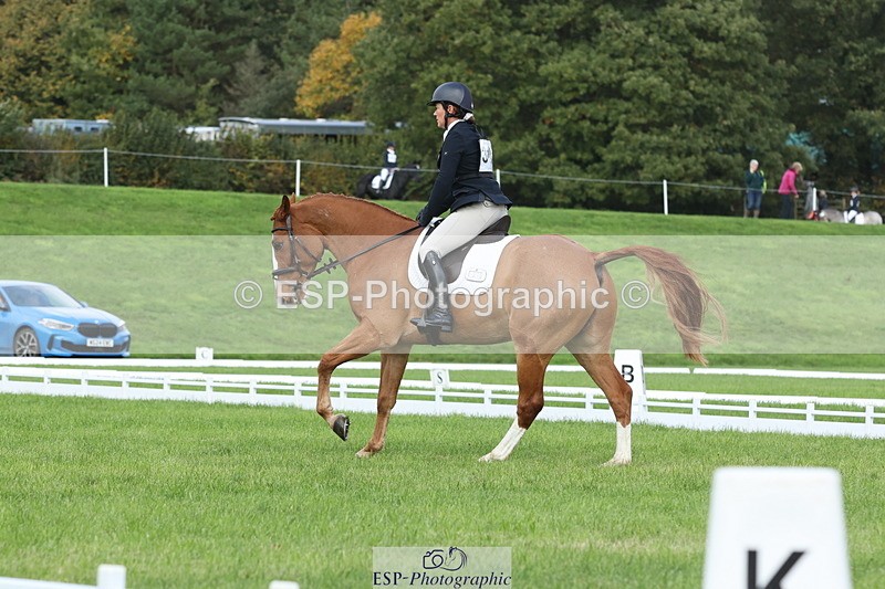 251023A-105022-03241 - D-310-Emily.R.Vincent