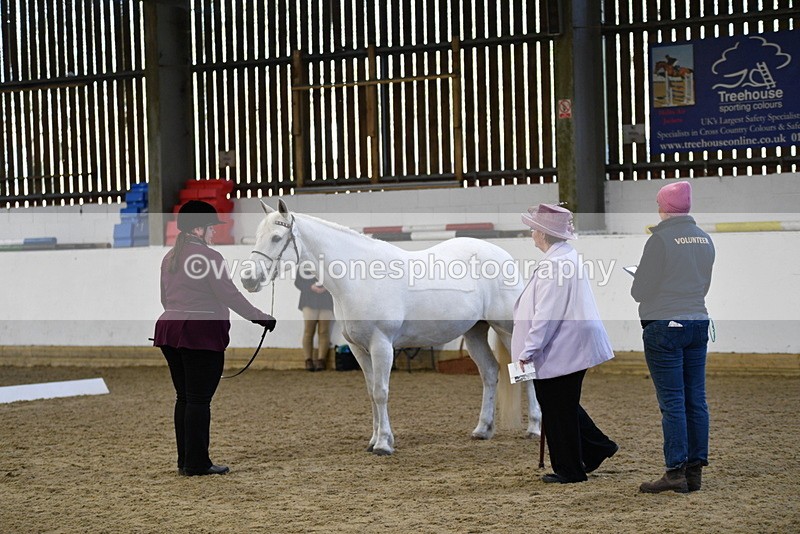 WJ5_3686 - Class 5 In Hand Veterans