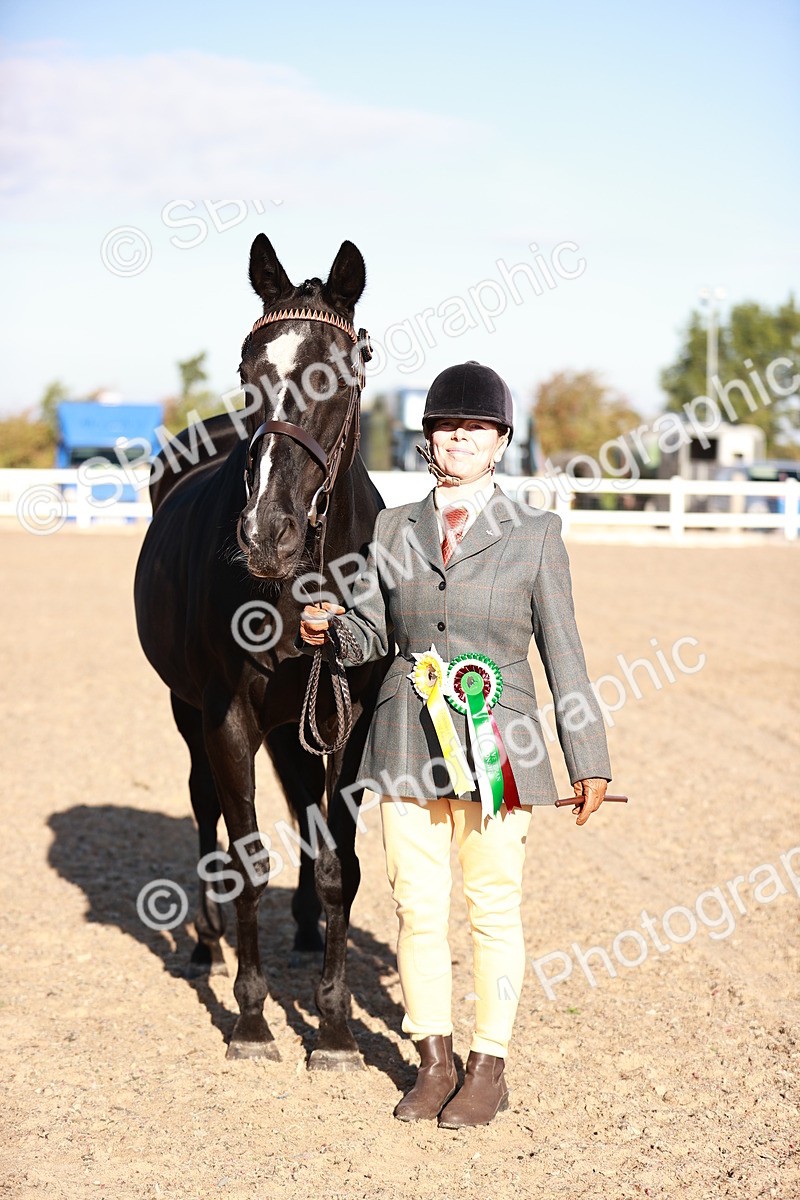 SBM_11229 - Class 401 - IH  Veteran horse