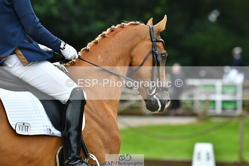 230722-155329-03795 - Cls 5, Elementary Silver 15.10 to End