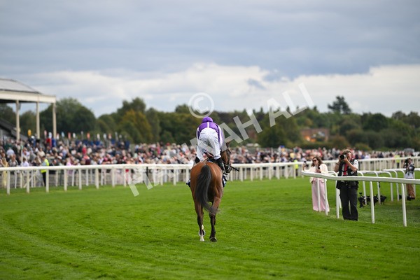 210825-Race 4-Minnie Hauk-4763 - Race 4 3.35pm Pertemps Network Yorkshire Oaks