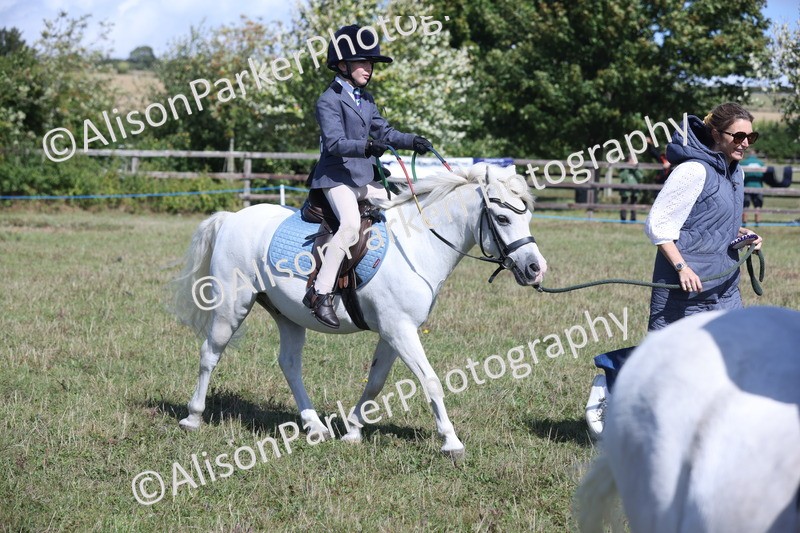 20250831-2587 - Class 16 - Family Pony