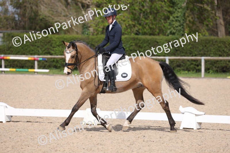 20260405-0252 - Class 3 - Novice 5