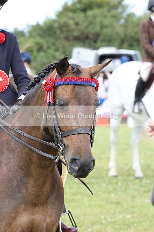 JPP_1660 - Cornish Combination Championship
