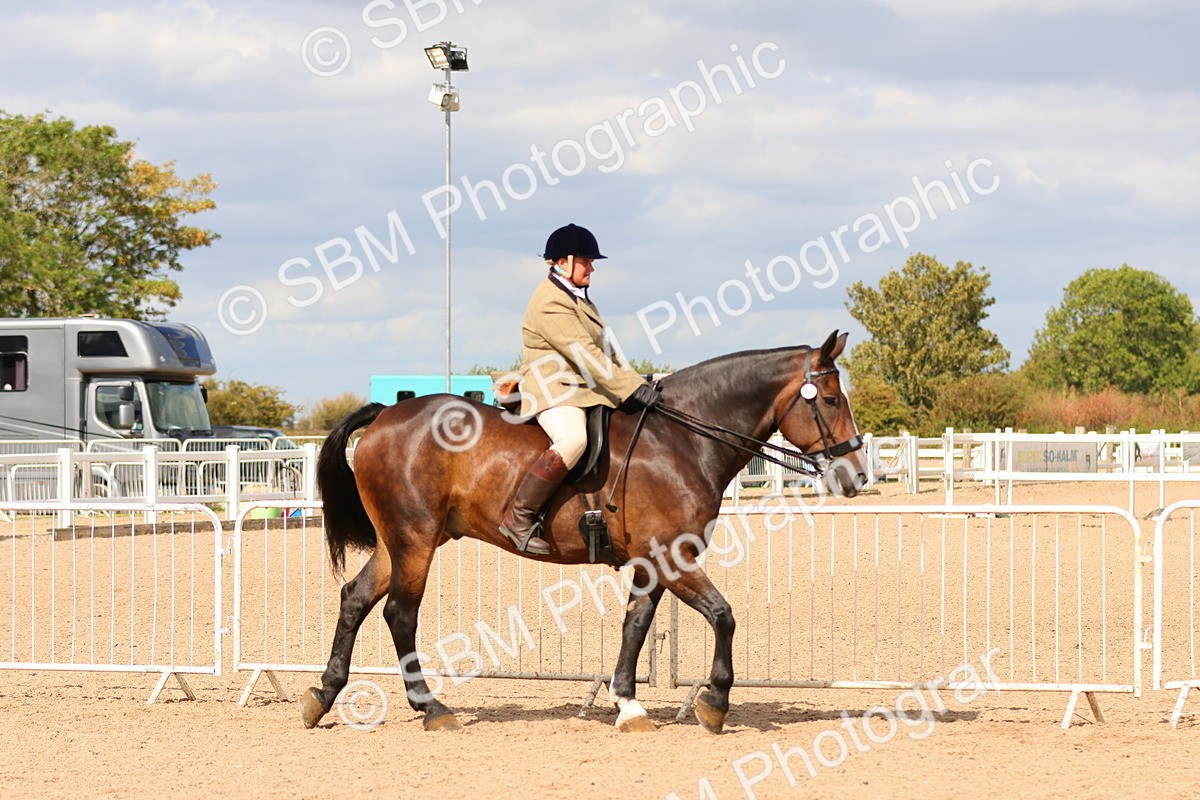 SBM_15463 - Class 214 - Ridden Show Cob