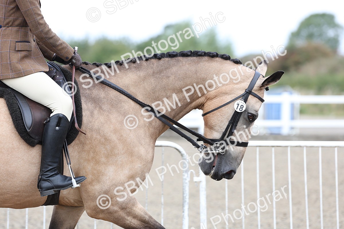 SBM_01471 - Class 52 - Ridden Veteran