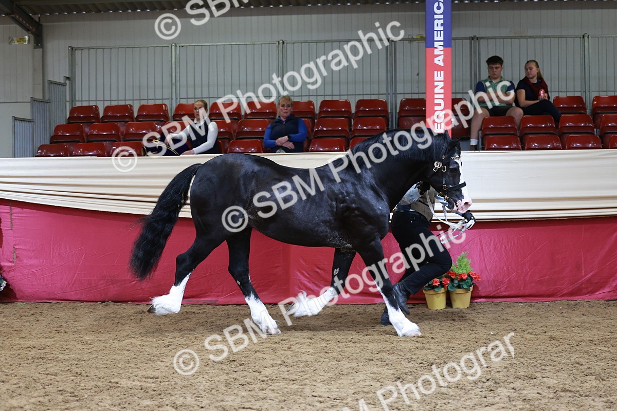 SBM_17404 - Class 951 - M&M IH Supreme Final