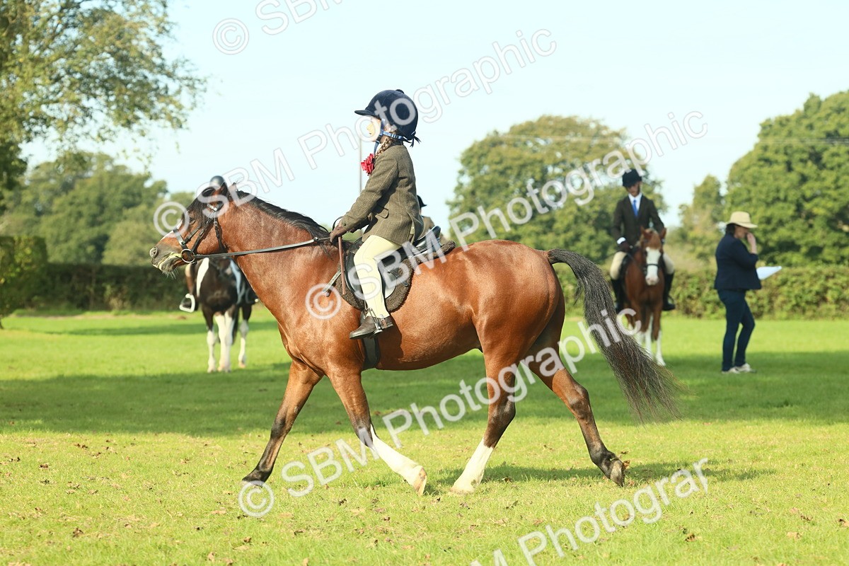 SBM_59933 - S38 - Starters Ridden Showing