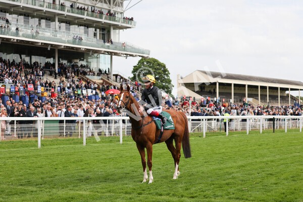 yr13052022r4-77 - Race 4 3.35pm The Paddy Power Yorkshire Cup (British Champions Series Race)