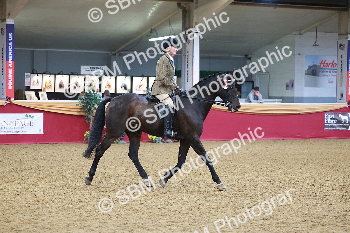 SBM_09707 - Class 102 - HOYS Veteran Qualifier - Ridden Veteran