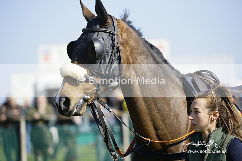 PtP 190322 435 - Wilton Hunt PtP Milborne St Andrew 19/03/22