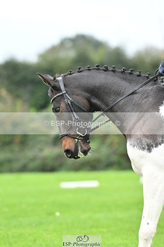 241024-104103-02246 - 307-Ava.Moor-LANGALLER.SUNRISE