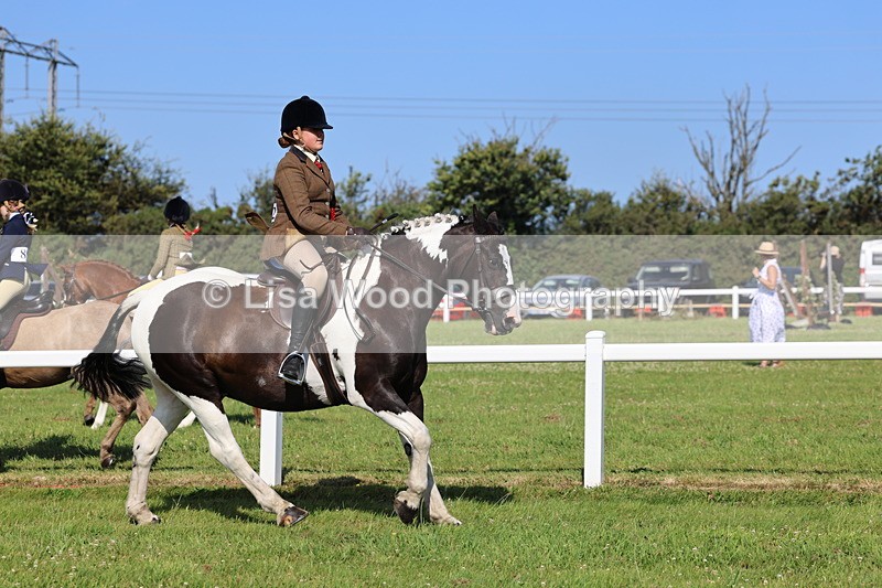 IMG_1642 - Skewbald and Piebald Ridden Championship