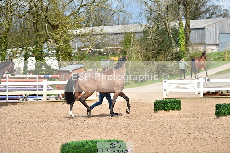 240417A-143512-00575 - 2pm to 3pm