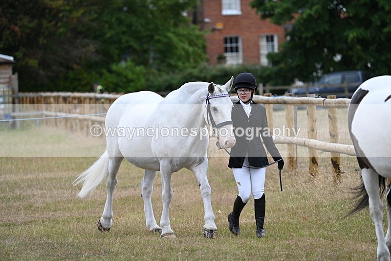 WJ7_9068 - Class 4a Prettiest Mare 14.2hh and over