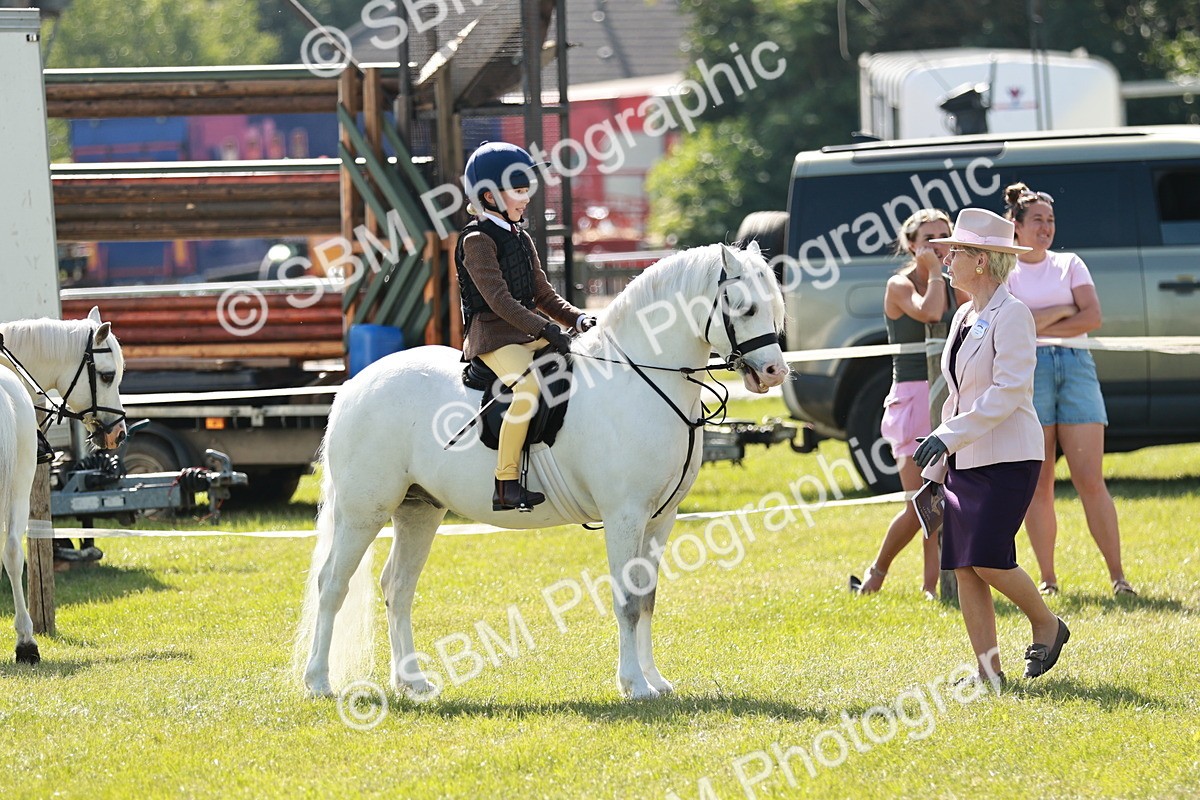 SBM_12632 - Class 106-107 - BSPS LIHS Working Sports Pony