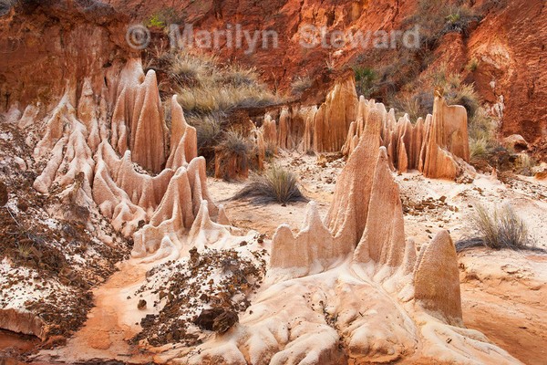 Red tsingy, Madagascar - Exhibition acceptances