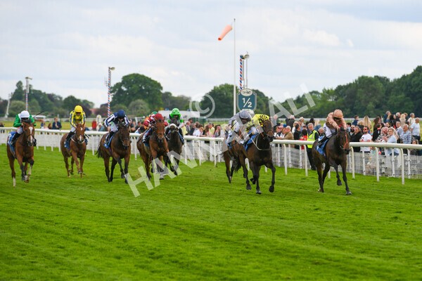 yr22052022r7-17 - Race 7: 6:40pm Sky Bet Sunday Series Fillies' and Mares Stakes